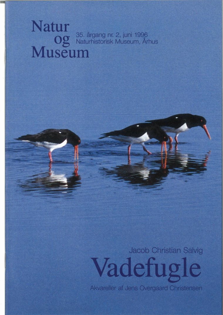 Vadefugle